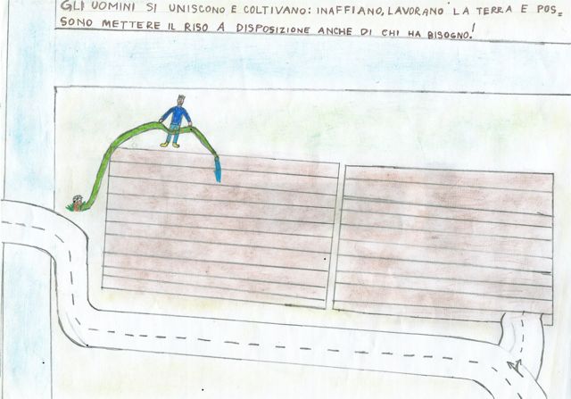 Coltivazioni di riso Coltivazioni di riso