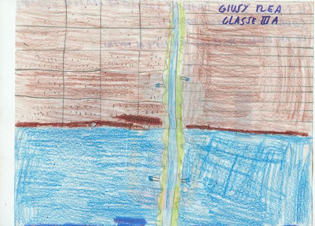 Coltivazioni di riso Coltivazioni di riso