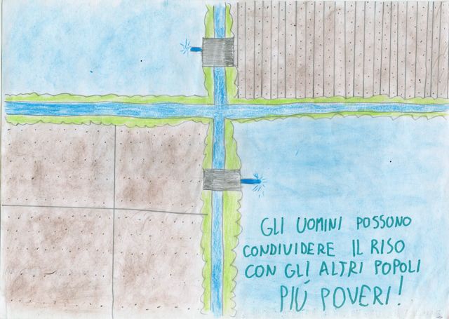 Coltivazioni di riso Coltivazioni di riso