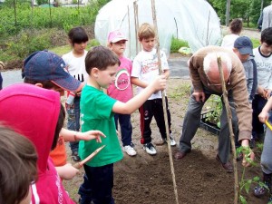 I nonni aiutano gli alunni I nonni aiutano gli alunni