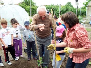 La legatura delle piante ai pali di sostegno La legatura delle piante ai pali di sostegno