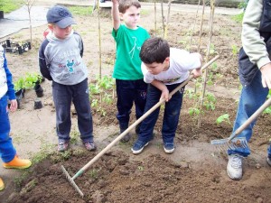 Gli alunni rastrellano il terreno Gli alunni rastrellano il terreno