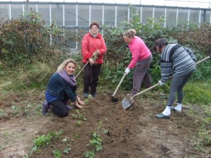 Maestre e genitori collaborano nell'orto Maestre e genitori collaborano nell'orto