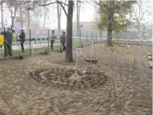 Il terreno è pronto Il terreno è pronto