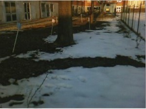 Il giardino innevato Il giardino innevato