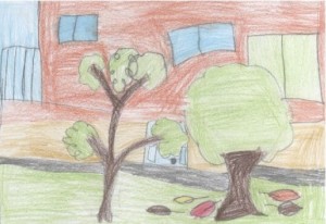 L'angolo scelto in cortile L'angolo scelto in cortile