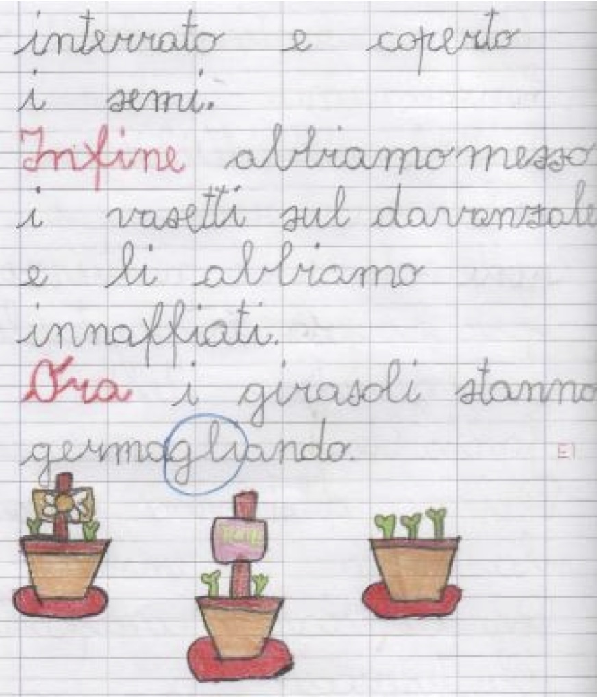 Il testo sulla semina Il testo sulla semina