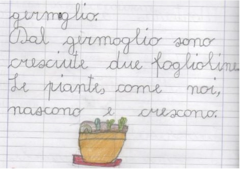 Il racconto della crescita Il racconto della crescita