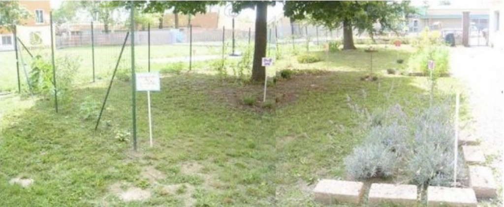 Il Giardino delle farfalle Il Giardino delle farfalle