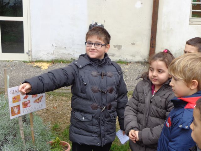 Gli alunni di classe Quarta spiegano ai compagni di Prima, nel giardino delle farfalle ...