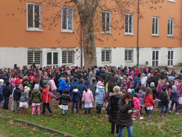 Tutti gli alunni abbracciano il grande platano