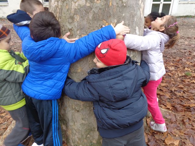 Gli alunni abbracciano il grande platano