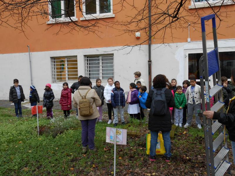 Festa dell'albero nel Giardino delle farfalle_1 Festa dell'albero nel Giardino delle farfalle_1