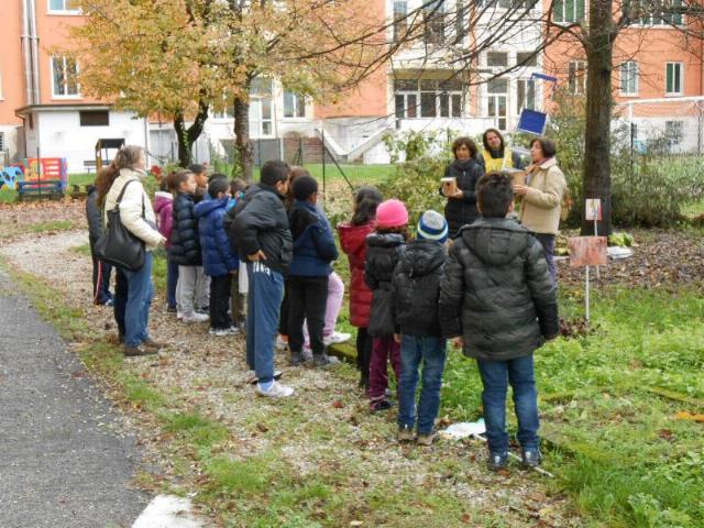 Festa dell'albero nel Giardino delle farfalle Festa dell'albero nel Giardino delle farfalle