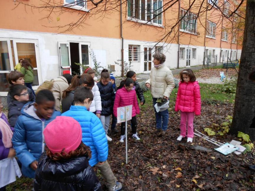 Piantumazione di piccole piantine Piantumazione di piccole piantine