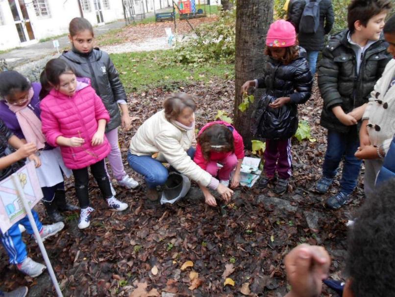 Gli alunni interrano le piantine in un'aiuola Gli alunni interrano le piantine in un'aiuola