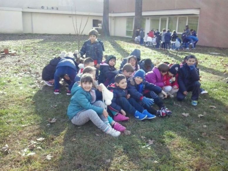 Tutta la classe seduta intorno all'albero.