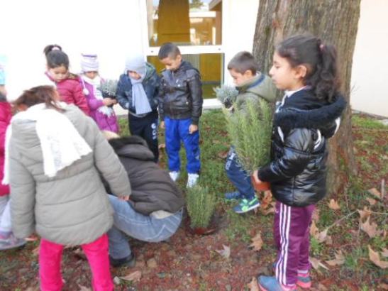 I bambini con i vasi contenenti il rosmarino.