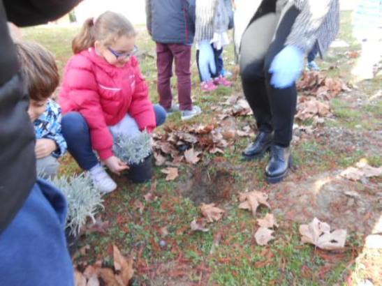 I bambini mettono a dimora le piante.