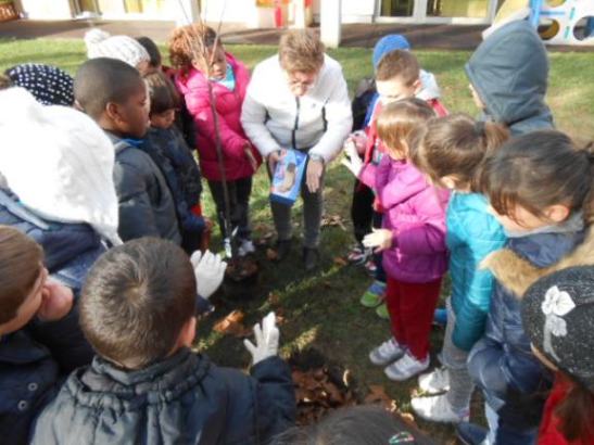 L'insegnante spiega cosa fare.