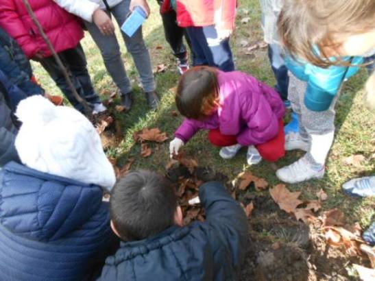 I bambini intorno al piccolo scavo.