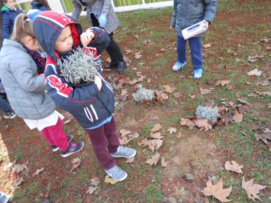 Un bimbo abbrccia il vaso contenente la lavanda.