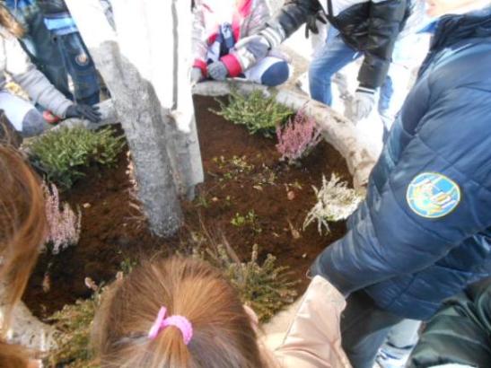 L'aiuola abbellita con le eriche.