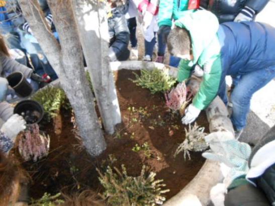 I bambini sistemano l'ultima piantina.