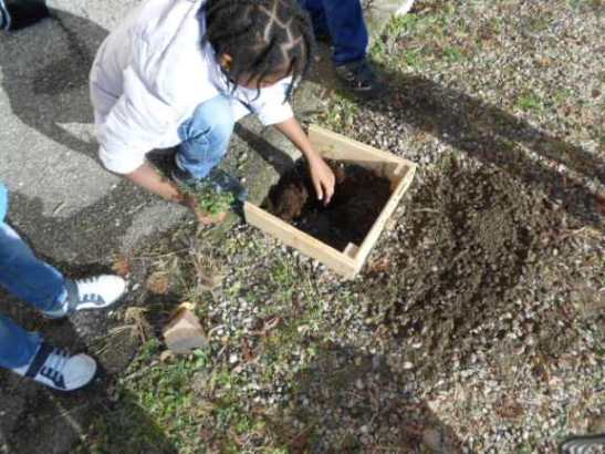 La bambina scava nel terreno.