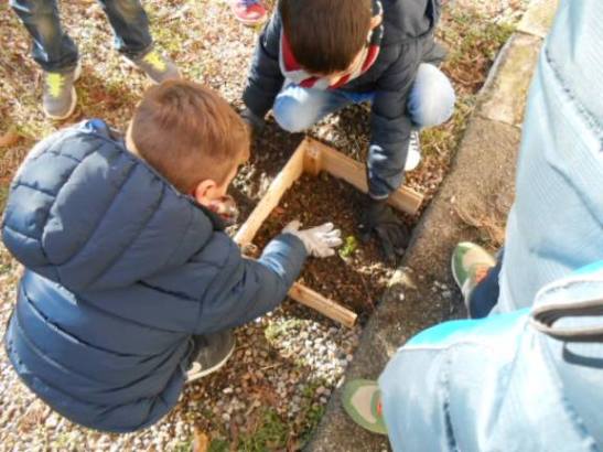 Due bimbi interrano la piantina.