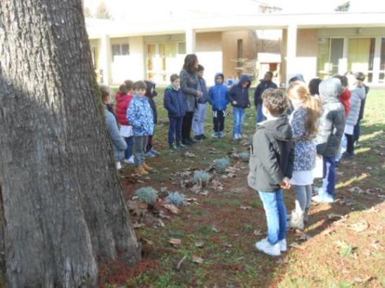 La classe disposta intorno alla fila di lavande.