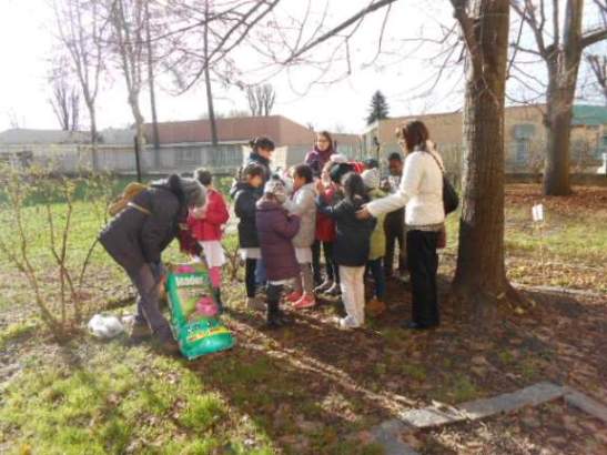 La classe si accinge a mettere a dimora dei bulbi.