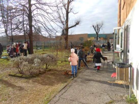 Gli alunni sistema la file di "siepine".