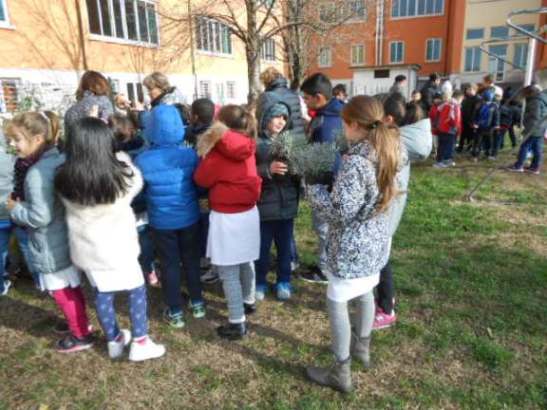 i bambini raccolgono i vasi con le lavande.