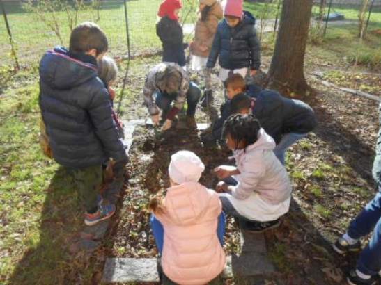 La docente ed i bambini intorno ad un'aiuola.