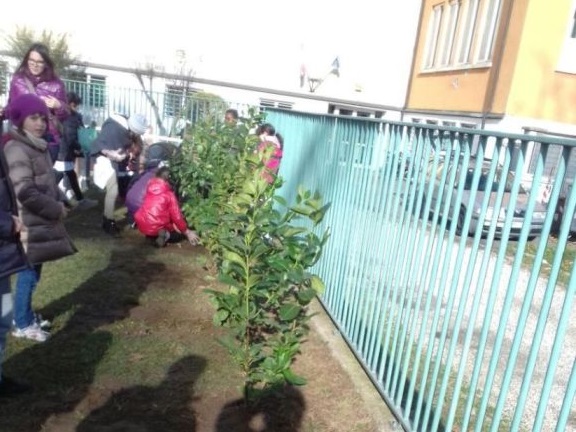 Le siepi ed i bambini ancora al lavoro.