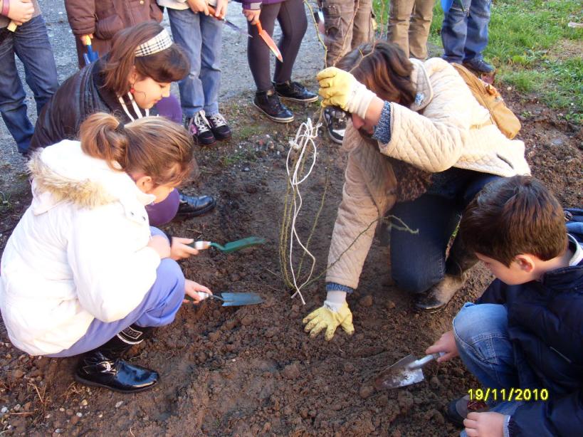 Gli alunni piantumano il pallon dii maggio.