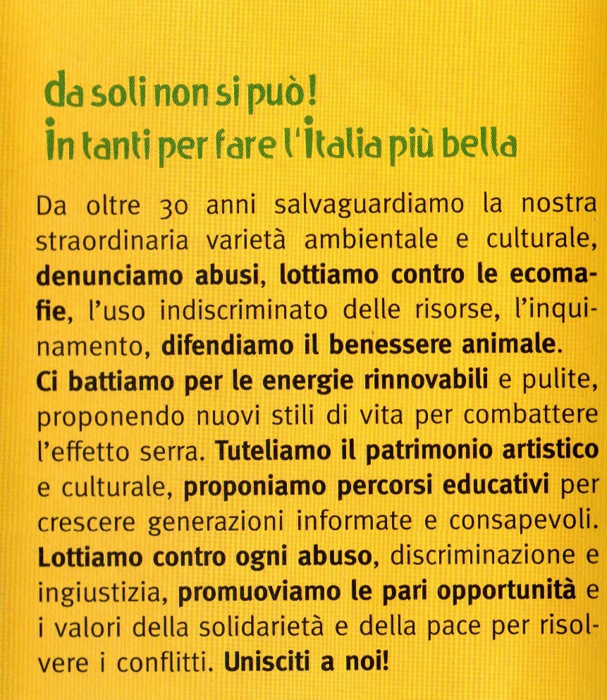 Locandina Abbraccia un albero