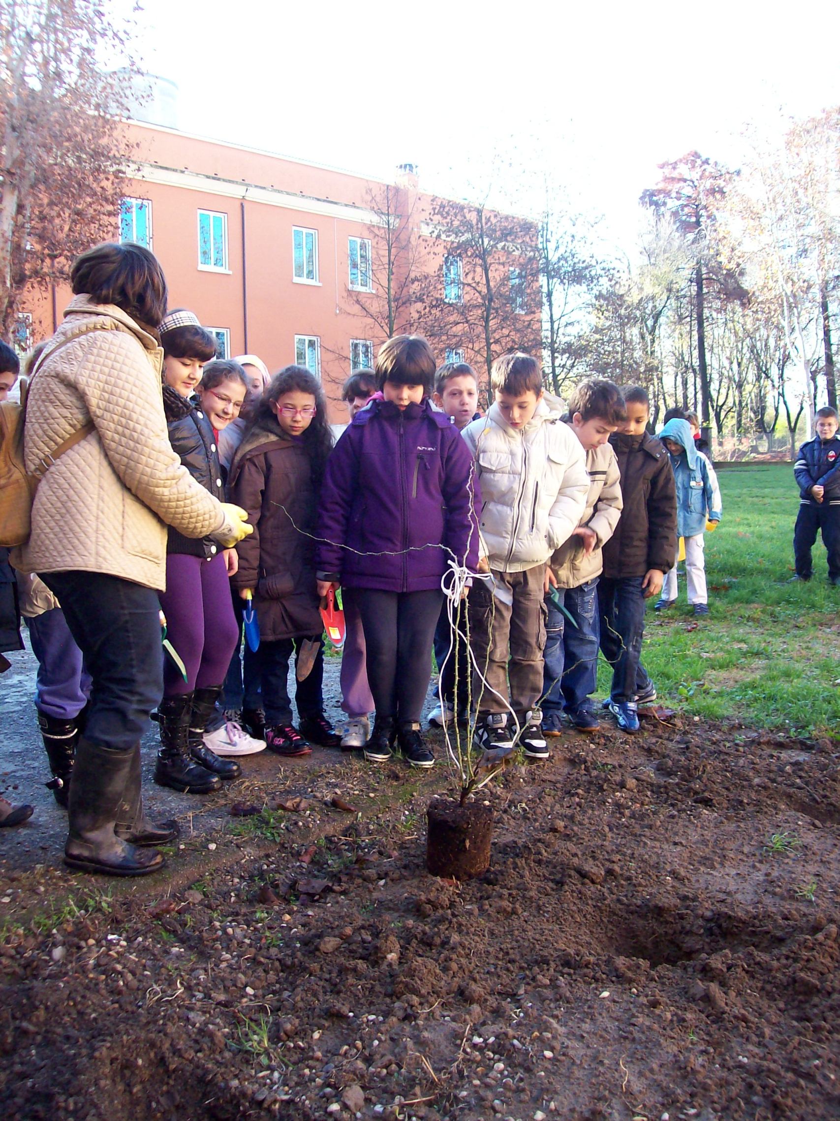I buchi per interrare le piante sono stati predisposti.
