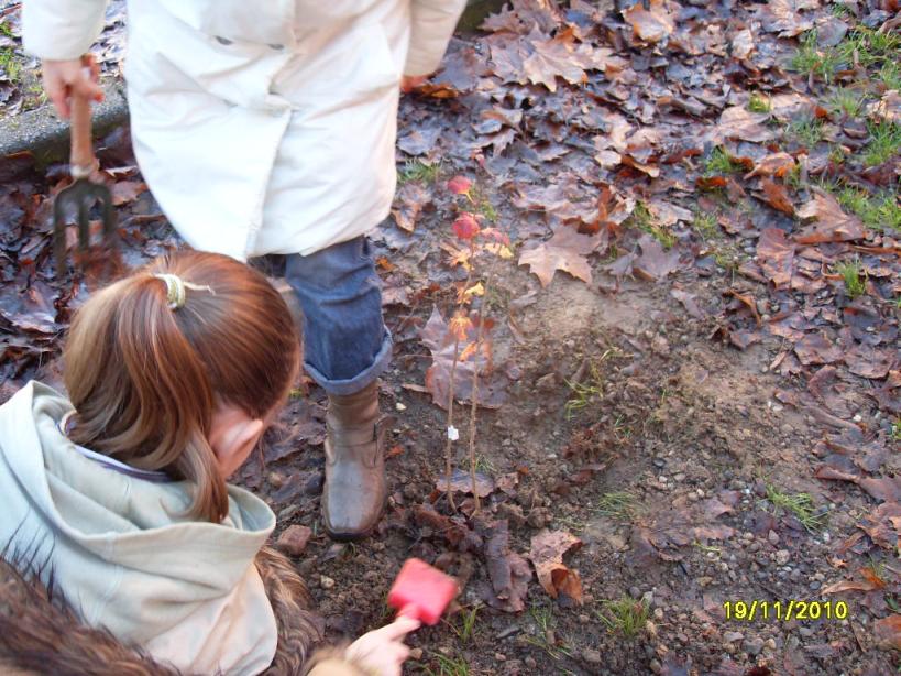 I piccoli giardinieri mettono a dimora le piante.