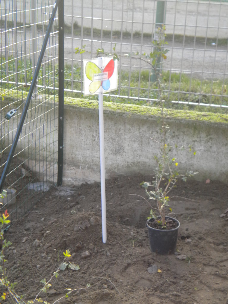 Gli arbusti coi rispettivi cartellini