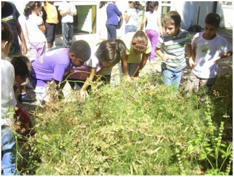 Gli alunni nel giardino Gli alunni nel giardino