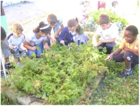 Gli alunni nel giardino Gli alunni nel giardino