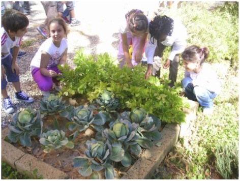 Gli alunni nel giardino Gli alunni nel giardino