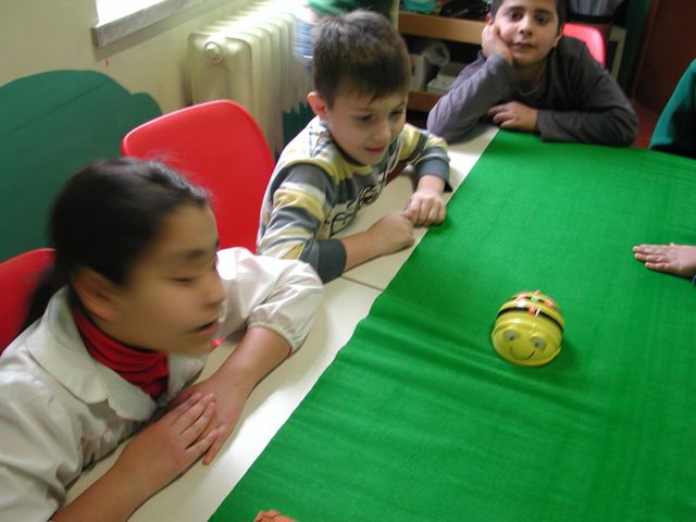 L'ape si muove sul percorso L'ape si muove sul percorso