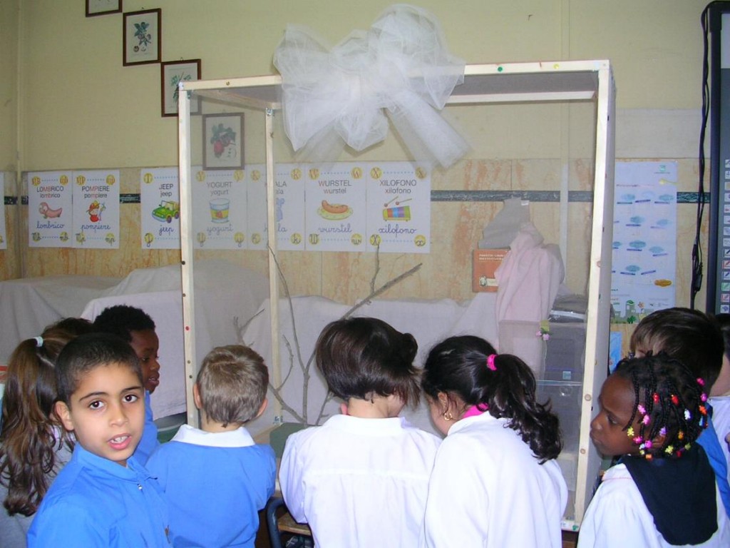 Voliera e bambini Voliera e bambini