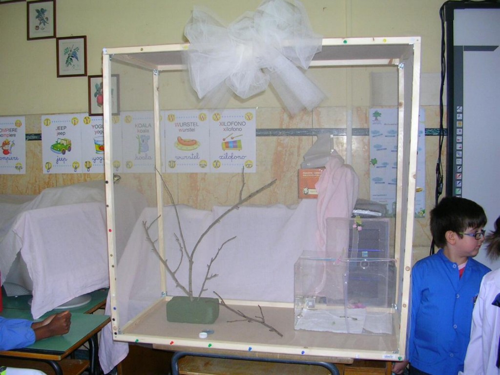 Voliera in classe Voliera in classe