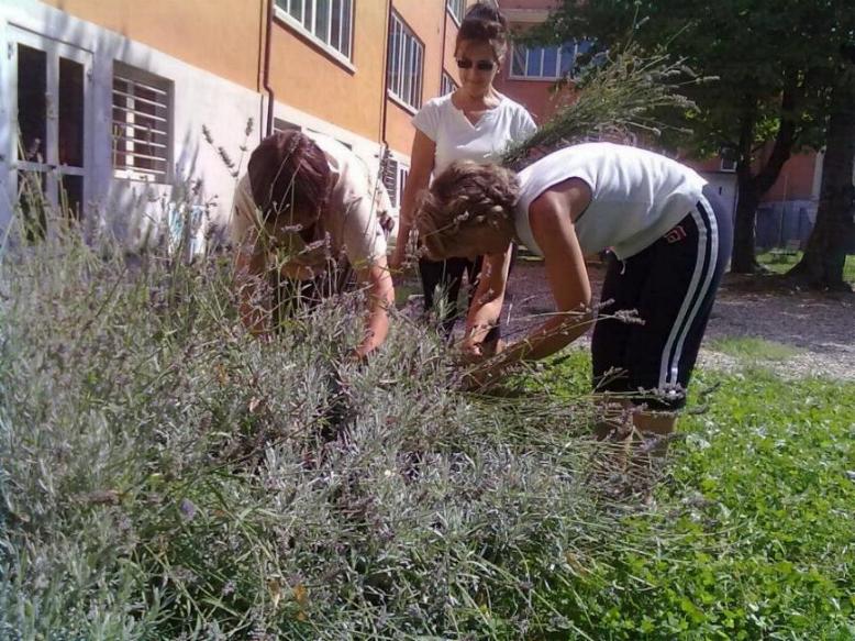 La volontaria e le maestre all'opera La volontaria e le maestre all'opera