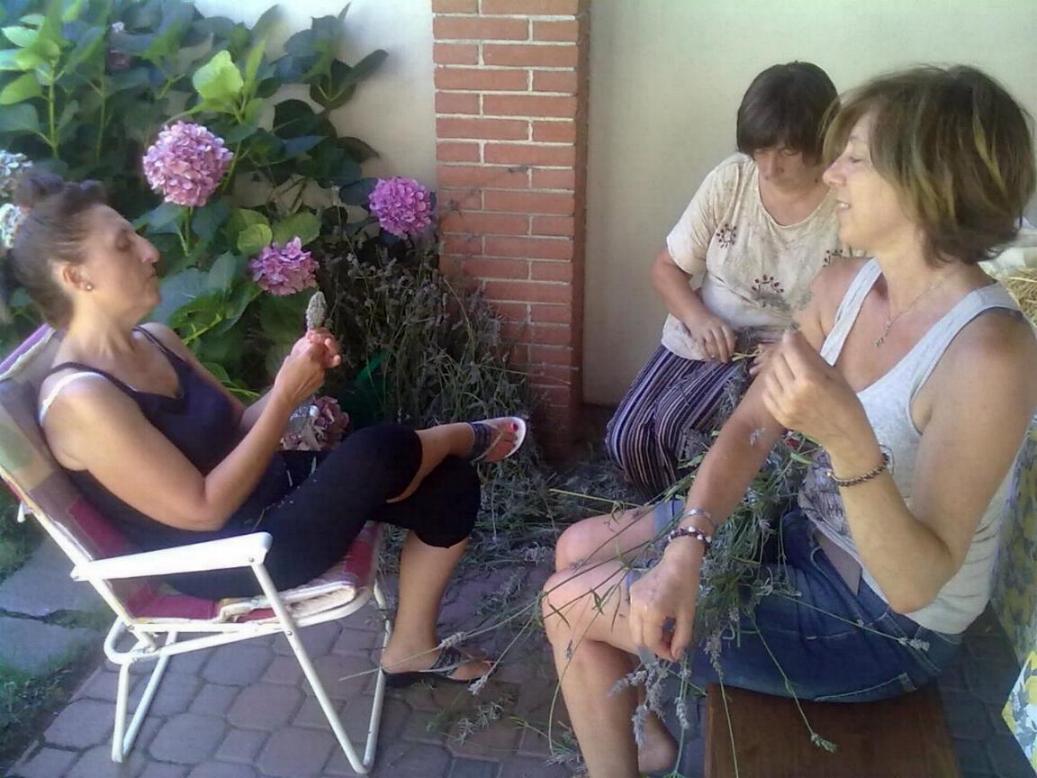 I rametti della lavanda vengono trasformati in profumi per la casa. I rametti della lavanda vengono trasformati in profumi per la casa.