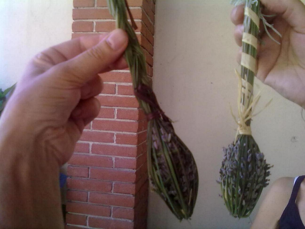 Fiaschette di lavanda Fiaschette di lavanda